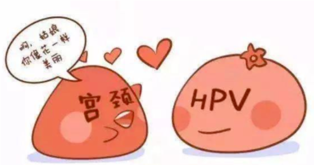 了解这些宫颈疾病，让自己远离&ldquo;女性健康杀手&rdquo;！
